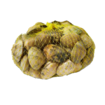 almeja fina