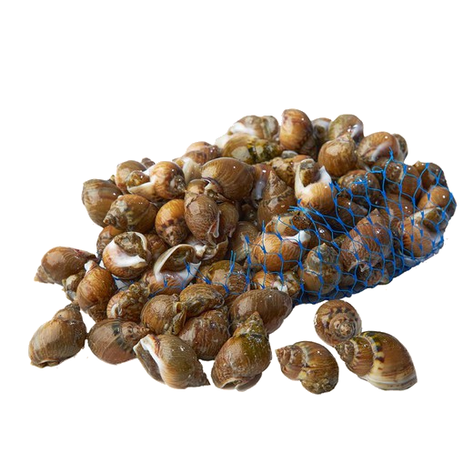 caracolillo