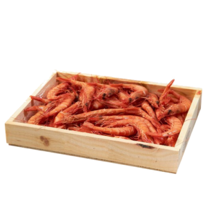 Gambon rojo