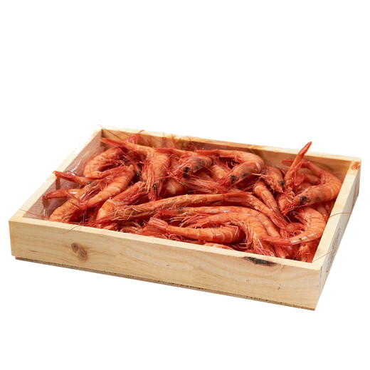Gambon rojo