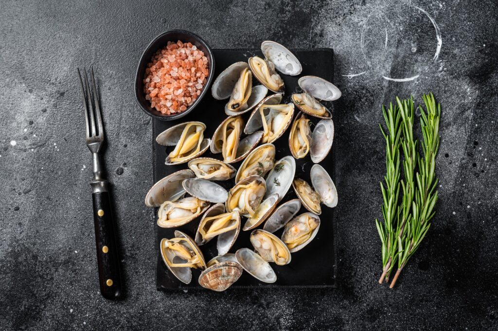 Steamed shellfish Clams with garlic and herbs. Black background. Top view
