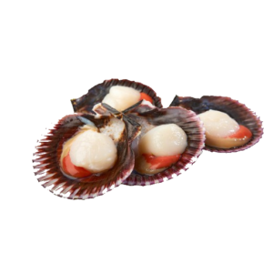 zamburinas