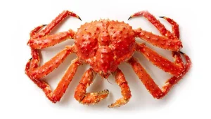 Cangrejo Real Cong (king Crab)