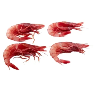 Gamba Roja