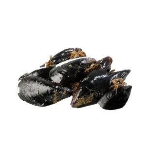 Mejillon Gallego 1kg