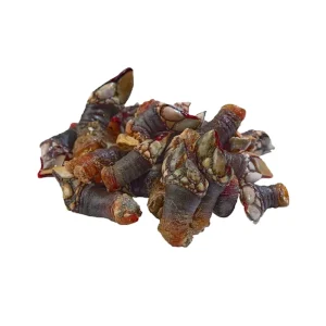 Percebe Gallego Gordo 1kg